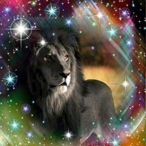 Meet your Posher, Maleka